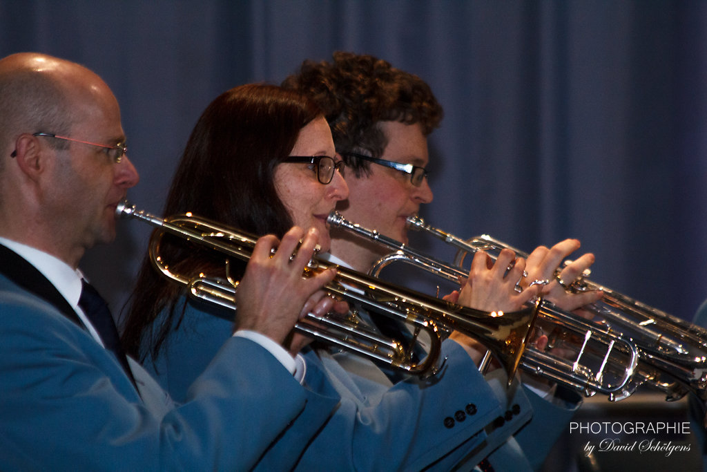 2014-04-06KonzertMusikverein-0038.jpg